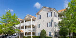 Portico at Lanier Portico at Lanier Photo Gallery 1