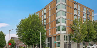 Alley South Lake Union Alley South Lake Union Photo Gallery 1