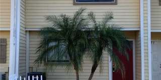 4415 DYLAN LOOP 4415 DYLAN LOOP Photo Gallery 1