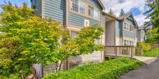 Avana Chestnut Hill Avana Chestnut Hill Photo Gallery 1