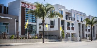 Citron Citron Photo Gallery 1