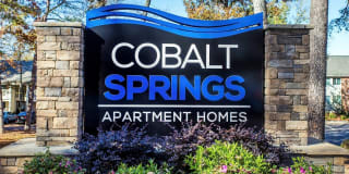 Cobalt Springs Apartments Cobalt Springs Apartments Photo Gallery 1