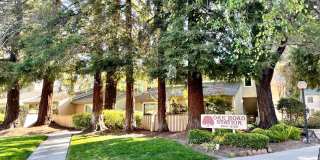 2720 Oak Rd #131 2720 Oak Rd #131 Photo Gallery 1