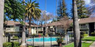 2560 Walnut Blvd #2 2560 Walnut Blvd #2 Photo Gallery 1