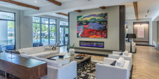 Casa Mara Casa Mara Photo Gallery 1