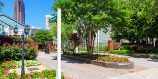 251 North 251 North Photo Gallery 1