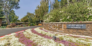 Sofi Fremont Sofi Fremont Photo Gallery 1