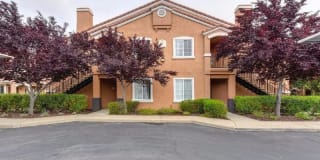 885 Halidon Way #314 885 Halidon Way #314 Photo Gallery 1