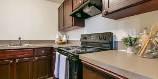 River View Apartments River View Apartments Photo Gallery 1