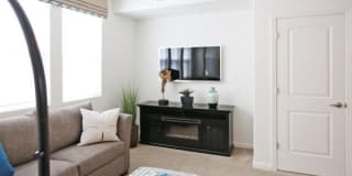 2490 Eastshore Dr Unit D11 2490 Eastshore Dr Unit D11 Photo Gallery 1