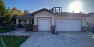 33371 Golden Meadow Ct 33371 Golden Meadow Ct Photo Gallery 1