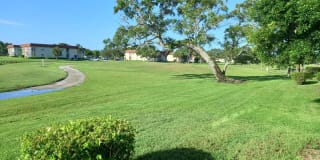 80 Crooked Tree Lane 80 Crooked Tree Lane Photo Gallery 1