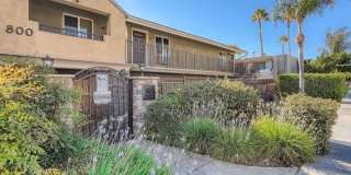 800 N Mollison Ave 3 800 N Mollison Ave 3 Photo Gallery 1