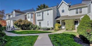 20 Tulip Lane 20 Tulip Lane Photo Gallery 1
