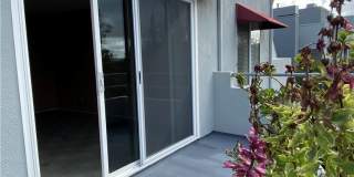 27783 Zircon 27783 Zircon Photo Gallery 1