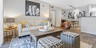 Ascent in Cottonwood Ascent in Cottonwood Photo Gallery 1