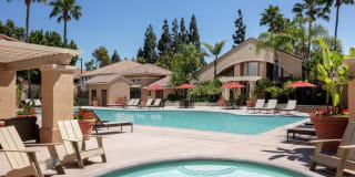 2480 Irvine Blvd Unit D12 2480 Irvine Blvd Unit D12 Photo Gallery 1