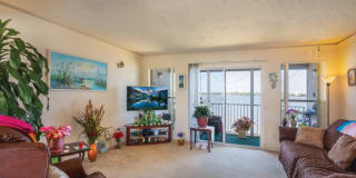 Bay Apartments Bay Apartments Photo Gallery 1