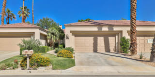 54374 Oak Tree 54374 Oak Tree Photo Gallery 1
