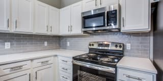 Aventura on Briar Forest Aventura on Briar Forest Photo Gallery 1