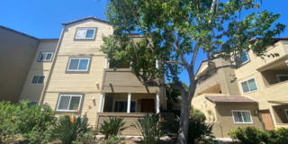 5057 Los Morros Way 110 5057 Los Morros Way 110 Photo Gallery 1