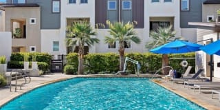 2136 Celestial Way 2136 Celestial Way Photo Gallery 1
