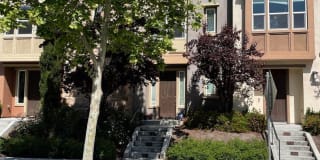 1506 McCandless Dr 1506 McCandless Dr Photo Gallery 1
