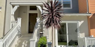3742 Islander Walk 3742 Islander Walk Photo Gallery 1