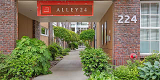 Alley24 Alley24 Photo Gallery 1