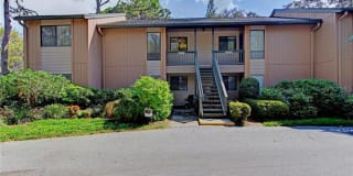 1707 Pelican Cove Road 1707 Pelican Cove Road Photo Gallery 1