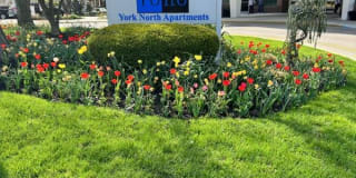 York North York North Photo Gallery 1