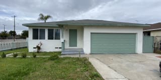 1241 Saint Anne 1241 Saint Anne Photo Gallery 1