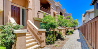 780 Ada St 780 Ada St Photo Gallery 1