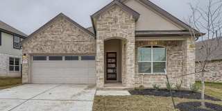 2032 Wilsons Warbler DR 2032 Wilsons Warbler DR Photo Gallery 1