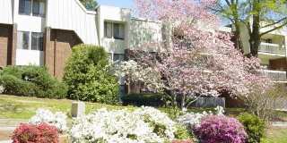 500 Umstead Drive Unit 305-F 500 Umstead Drive Unit 305-F Photo Gallery 1