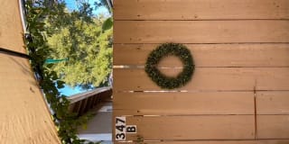 347 San Carlos Ave B 347 San Carlos Ave B Photo Gallery 1