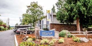Revive Revive Photo Gallery 1