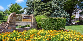 TreeTops At Chester Hollow TreeTops At Chester Hollow Photo Gallery 1