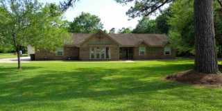 785 Alamo 785 Alamo Photo Gallery 1