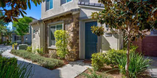 8696 Festival Street 8696 Festival Street Photo Gallery 1