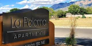 La Paloma in the Ne Heights La Paloma in the Ne Heights Photo Gallery 1