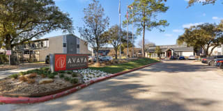 Avaya Steeplechase Avaya Steeplechase Photo Gallery 1