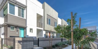 3620 S Allston Paseo 3620 S Allston Paseo Photo Gallery 1