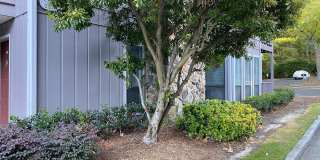 3841 Woodridge Way 3841 Woodridge Way Photo Gallery 1
