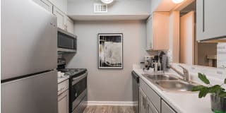 The Kenzie Apartment Homes The Kenzie Apartment Homes Photo Gallery 1