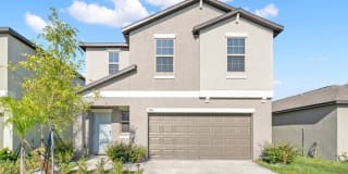 786 Olive Conch Street 786 Olive Conch Street Photo Gallery 1