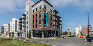 Lector 85 Lector 85 Photo Gallery 1