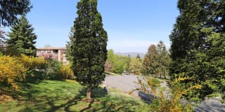 Mountain Lake Apartments Mountain Lake Apartments Photo Gallery 1