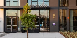 Prado Prado Photo Gallery 1