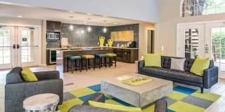 Haven Haven Photo Gallery 1